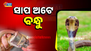 ସାପ ଅଟେ ବନ୍ଧୁ :