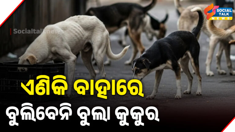 ଏଣିକି ବାହାରେ ବୁଲିବେନି ବୁଲା କୁକୁର