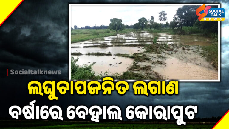 ଲଘୁଚାପଜନିତ ଲଗାଣ ବର୍ଷାରେ ବେହାଲ କୋରାପୁଟ (1)